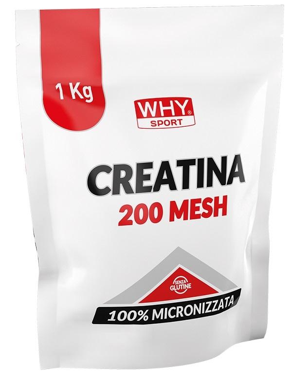 ND Whysport Creatina 200 Mesh 1 kg