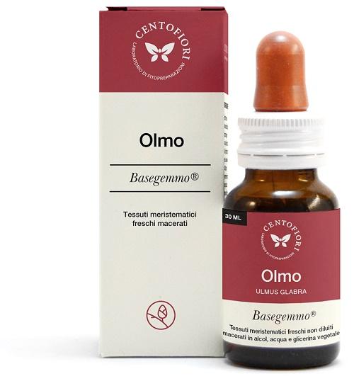 ND Olmo Basegemmo 30 ml