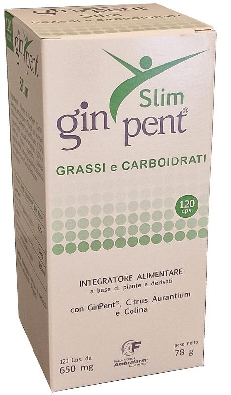 ND Ginpent Slim 120 capsule