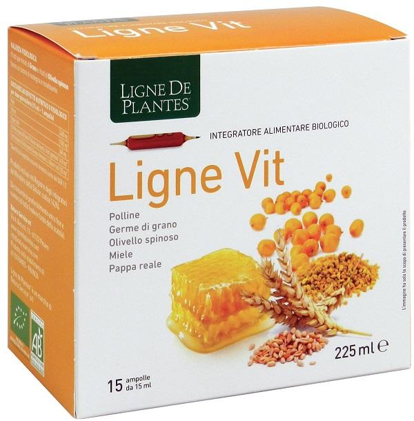 ND Ligne Vit Bio 15AMPOLLE 15 ml