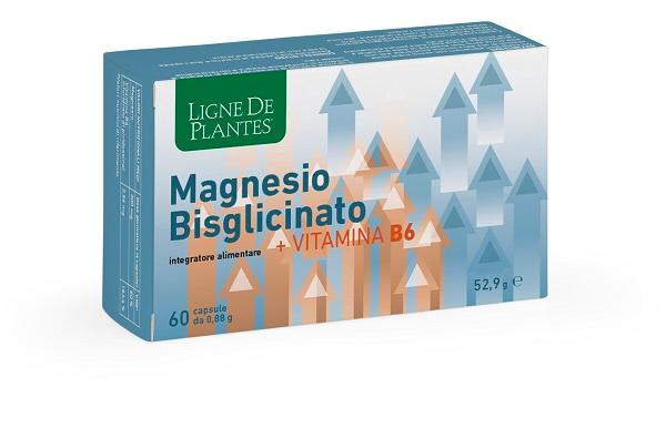 Ligne Ligne Magnesio BIS+VITB 6 60 capsule