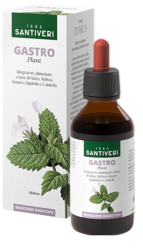 ND Gastro Plant Zefirus 100 ml