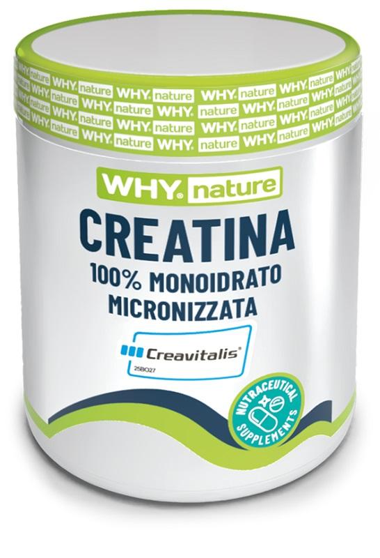 ND Whysport Creatina 100% MON200G