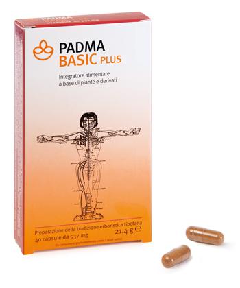 ND Padma Basic Plus 40 capsule