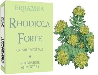 ND Rhodiola Forte 24 capsule