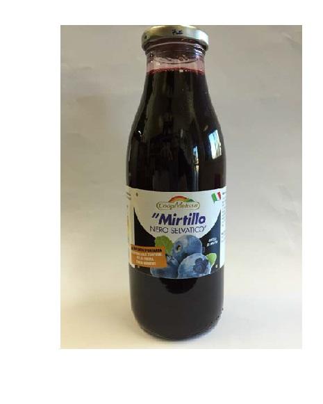 ND Succo Mirtillo 550 ml
