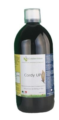 ND Cordy Up 1 l