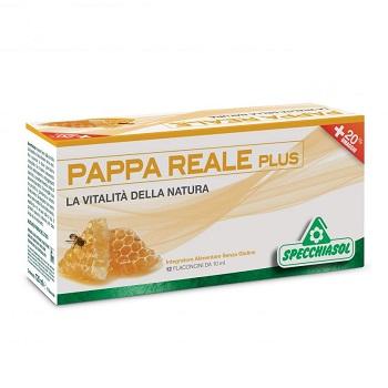 ND Pappa Reale Plus 12FLX10ML