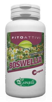 ND Fitoattivi Boswelia 90 capsule