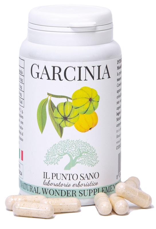ND Garcinia 90 capsule