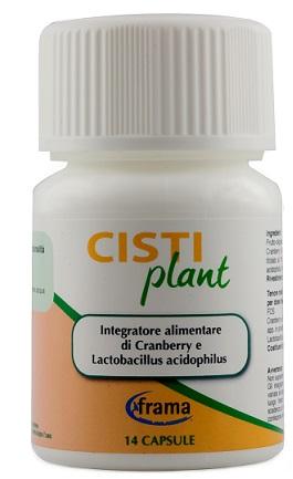 ND Cistiplant 14 capsule 9 g