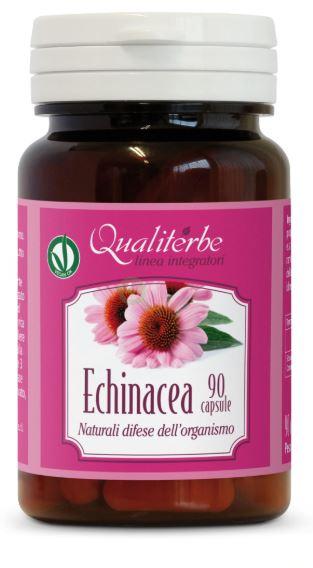 247B ECHINACEA 90CPS