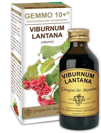 ND Viburno Liq Analcolico 100 ml