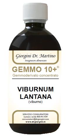 ND Viburno Liq Analcolico 500 ml