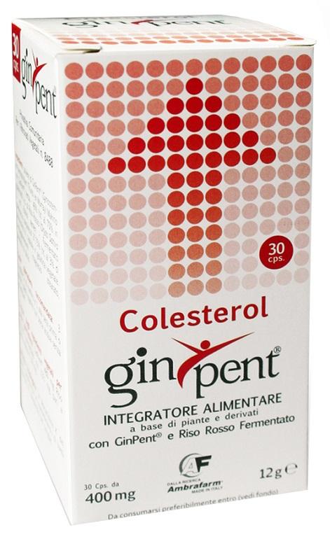 ND Ginpent Colesterolo 120 capsule