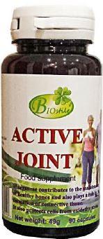 ND Biostile Active Joint 90 capsule