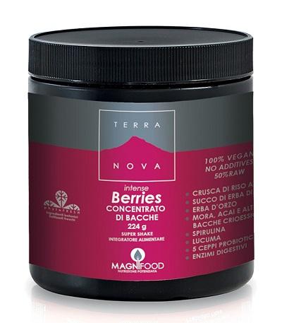 ND Terranova Super Shake Int Berr