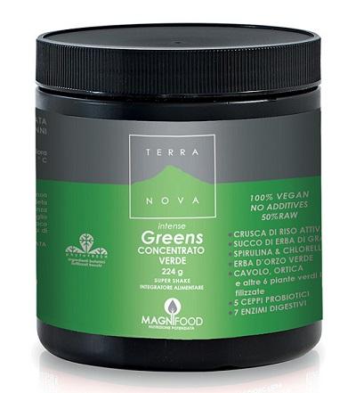 ND Terranova Super Shake Int Gree