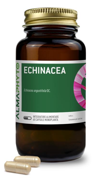 ND Echinacea 60 capsule