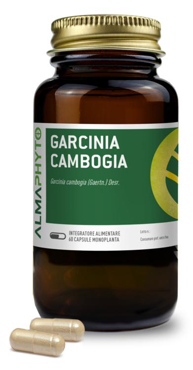 ND Garcinia Cambogia 60 capsule