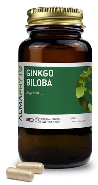 ND Ginkgo Biloba 60 capsule