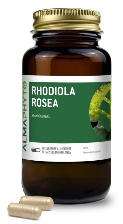 ND Rodiola Rosea 60 capsule