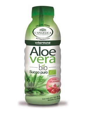 ND L'angelica Aloe Melog BIO500ML