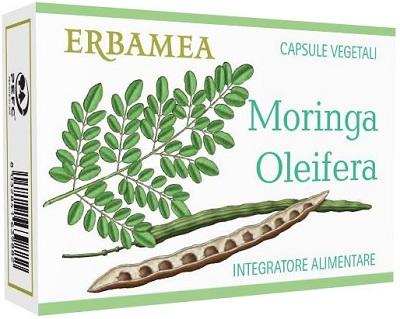 ND Moringa Oleifera 24 capsule