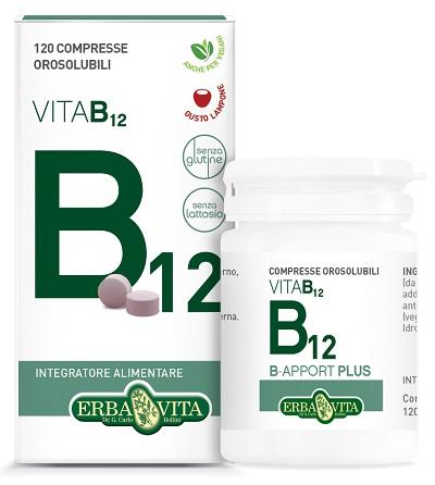 ND B-apport Vit B12 120 compresse Orosol