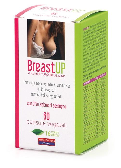 ND Breast Up 60 capsule