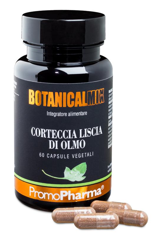 ND Corteccia Liscia Olmo BOT60CPS