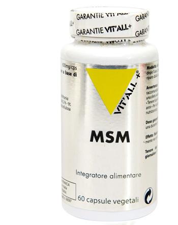 ND Msm 60 capsule
