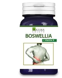 ND Boswellia Ok 60 capsule