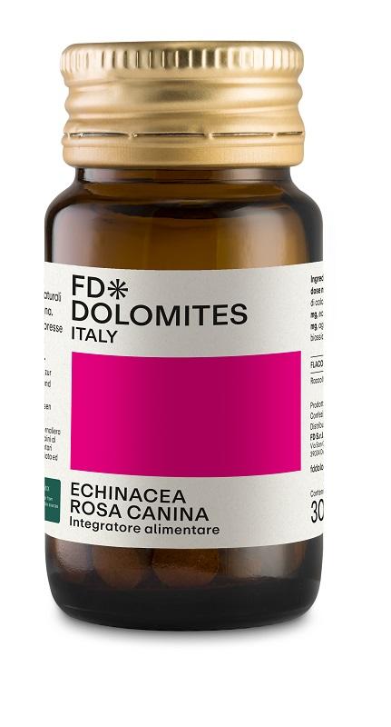 595I FD DOLOMITES ECHINACEA RA60CPR