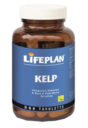 ND Kelp 300TAV