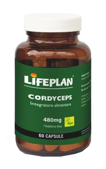 ND Cordyceps 60 capsule
