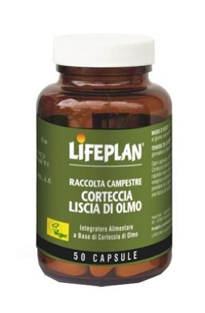 ND Corteccia Liscia Di Olmo 50 capsule