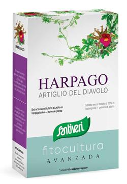 ND Artiglio Diavolo 40 capsule