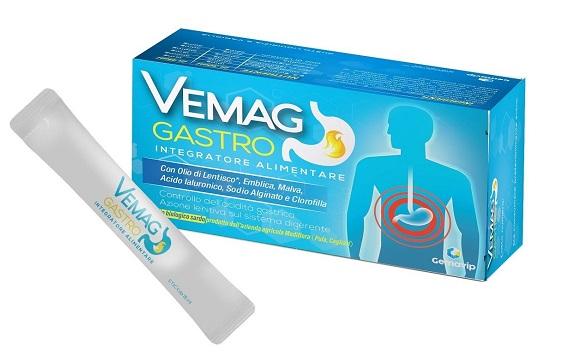 ND Vemag Gastro 20STICK