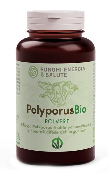 ND Polyporus Polvere Bio 100 g