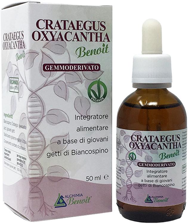 ND Crataegus Oxianta Gemm 50 ml