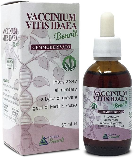 ND Vaccinium Vitis Idaea GEMM50ML