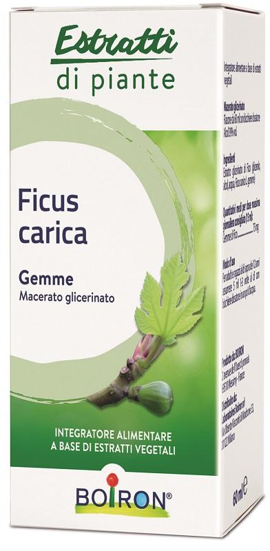 ND Ficus Carica Boiron mg 60 ml