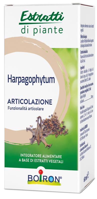 ND Harpagophytum Boiron Ei 60 ml