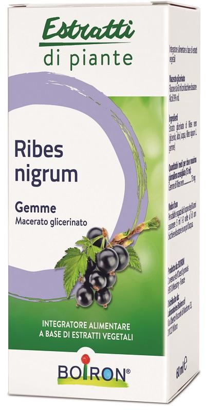 ND Ribes Nigrum Boiron mg 60 ml