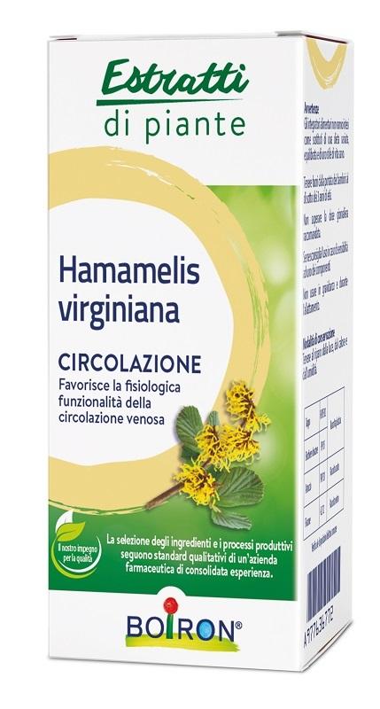 ND Hamamelis Boiron Ei 60 ml