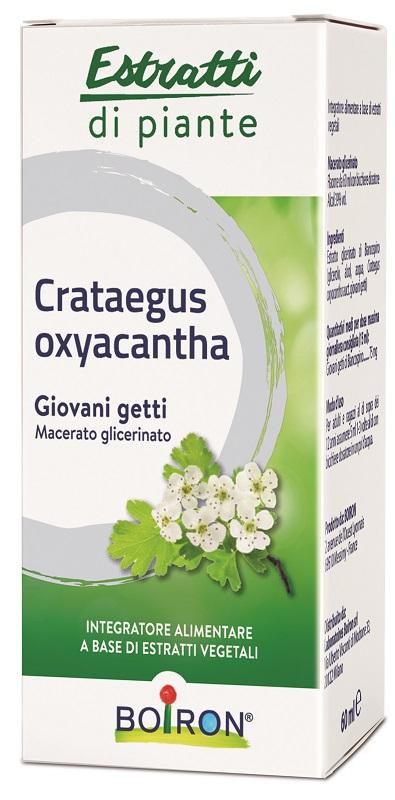 ND Crataegus Boiron mg 60 ml