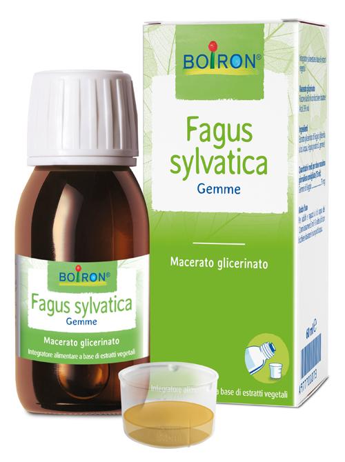 ND Fagus Sylvatica Boiron mg 60 ml