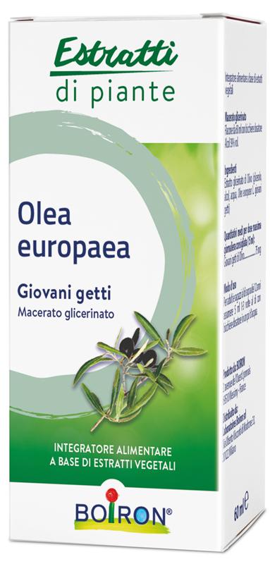 ND Olea Europaea Boiron mg 60 ml