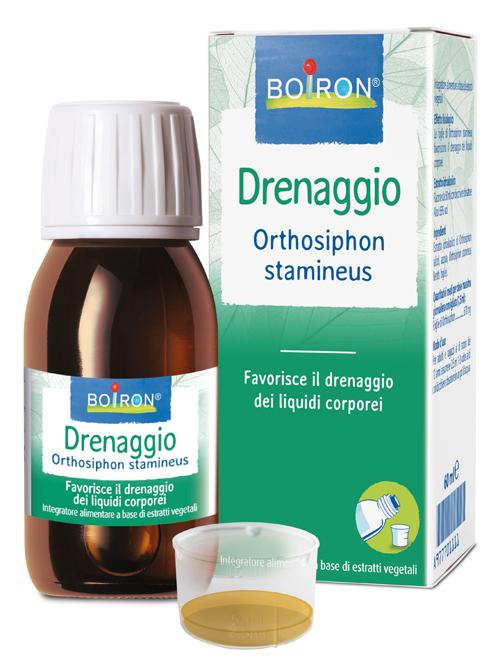 ND Orthosiphon Boiron Ei 60 ml